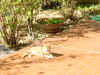 11.JPG (60973 byte)
