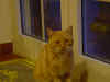 9.JPG (58949 byte)