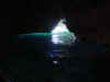 23.JPG (60206 byte)